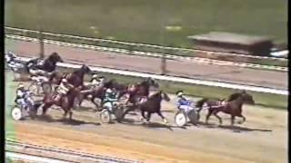 Traralgon harness racing - Nov 1, 1988