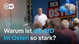 AfD in Ostdeutschland - Tickt der Osten anders? | DW Nachrichten