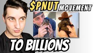 $PNUT  Coin- Peanut The Squirrel 50x Meme Coin!