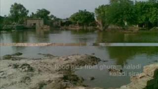 Shikarpur Guhram Kaladi Vilage