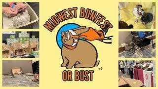 MIDWEST BUNFEST 2019: Ohio House Rabbit Rescue