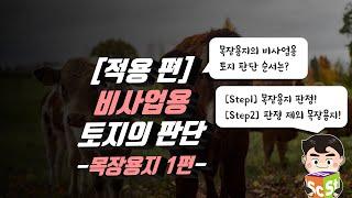 42.[적용 편] 비사업용 토지의 범위: 목장용지 1편