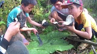 WITH KIDS GO TO dig up tubers from the forest. Cu Tu Super To