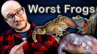 Top 5 WORST Pet Frogs and 5 BETTER Options You've Never Heard Of!