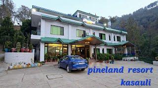 Pineland resort Dharampur kasauli Himachal pradesh !! best resort in kasauli 2024 !! family resort !