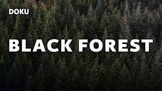 Black Forest (Komplette Dokumentation über den Schwarzwald, ganze Doku auf Deutsch, Naturdoku)