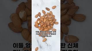 모르고 먹었던 아몬드 알고 더 맛있게 먹자! 1편 #아몬드 #shorts #short
