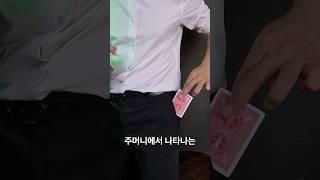 10초만 연습해도 가능한 카드 맞추기 마술(배우기)