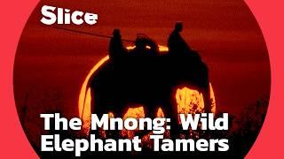 The Last Elephant Hunt: Mnong Tradition and the Cycle of Taming | SLICE