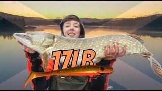 17lb 2oz lure caught pike   (3 days wild camping & fishing in Scotland)