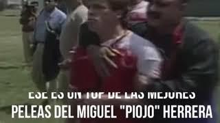 PIOJO HERRERA, SUS ESCANDALOSAS PELEAS