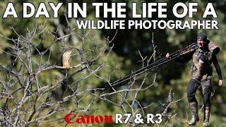 A Day in the Life of a Ethical Professional Wildlife Photographer | Canon R3-R7 Prime & Zoom lenses