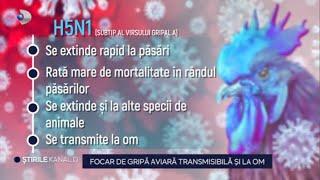 Stirile Kanal D - Focar de gripa aviara transmisibila si la om. | Editie de seara