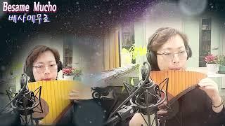 Besame Mucho (베사메무쵸)-Panflute 연주 조은혜