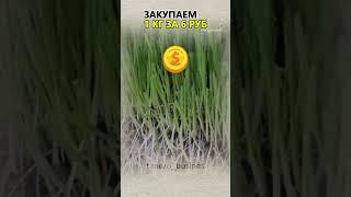 ВОТ КАКАЯ БИЗНЕС ИДЕЯ ВСЕГДА ПРИНОСИТ ДЕНЬГИ! Бизнес идеи! Бизнес 2025!