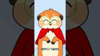 해외직구식품 안전정보 확인은?