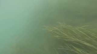 Upper niagara river Scuba fishing 9-26-15 part 2