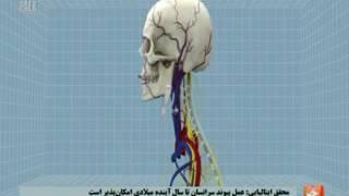 خبرهای دینی، علمی و فرهنگی / 1395.7.1 / TAMADON TV 3 PM NEWS