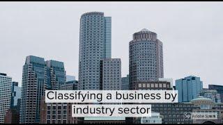 Industry Sectors explained / Classifying businesses based on industry sectors