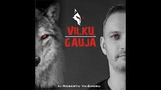 Vilkų gauja ep.nr. 32(2 dalis) - Greta Krušaitė - kaip susikurti visavertį gyvenimą?