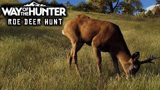 Way of the Hunter | Roe Deer Hunt | Finally hunting on Transylvania