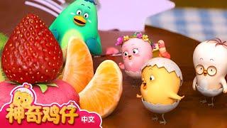 观察蛋糕 + 追加剧集 | 神奇鸡仔宝宝观察 | 神奇鸡仔启蒙游戏 | Como Kids TV