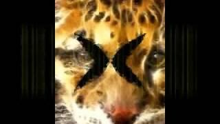 FRESHKUTT RECORDS, DJ MAGIC 'SLEEPING WITH FISHES' THE GODFARTHER MIX. RINSING DRUM & BASS
