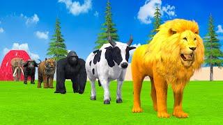 Paint & Animals Duck,Gorilla,Lion,Elephant,Cow,Sheep Fountain Crossing Transformation Animal Cartoon