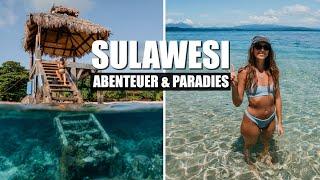 Der ULTIMATIVE SULAWESI Guide - DEIN NÄCHSTES GROßES ABENTEUER! l Reiseroute, Kosten & Highlights!