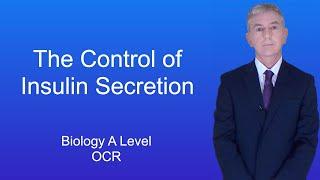 A Level Biology Revision (Year 13) "The Control of Insulin Secretion"