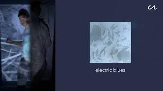 electric blues - Clinton N