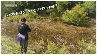 배스 마릿수는 제가 책임집니다 한번 따라 해보세요!!(feat. 박성완)