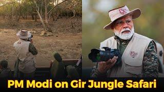 PM Modi takes lion safari at Gir National Park | World Wildlife Day | Gujarat