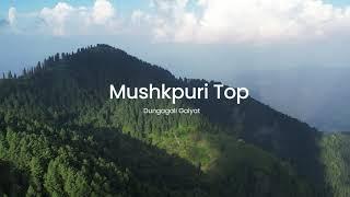 Mushkpuri Top - Dunga Gali - Nathia Gali - Kpk - Most Beautiful Place Near Islamabad