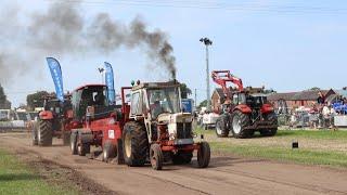 David brown 1212 with standard 72 hp engine on tractor pulling at Smallwood