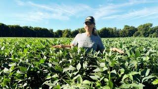 Fencing WOES & Watching Beans GROW! 