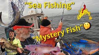  Sea Fishing Aberdeenshire Multi Species + a Mystery Fish?? What is it?? 