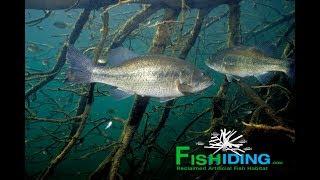 The Science Behind Fishiding Artificial Fish Habitat-Underwater Video (part 7 of 10)