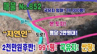 초급매 평당2만원후반대 2천만원후반 991평 자연인 땅 주말농장 싼땅 도로 접 국유지 임야 29,000평 접해서 좋아요 충북 단양군 영춘면 동대리 토지 매매 단양부동산 영춘부동산