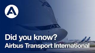 Did you know? Discover Airbus Transport International