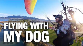 Flying with my Dog!