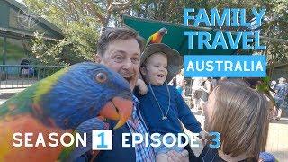 THE BEST GOLD COAST FAMILY DAY | Currumbin Wildlife Sanctuary | Family Travel Australia Series EP 3