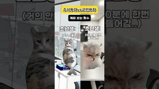 주식투자vs코인투자, 당신이라면 어디에 투자하시겠습니까??