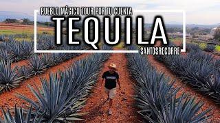 TEQUILA - PUEBLO MÁGICO de Jalisco, RECORRIDO POR TU CUENTA desde Guadalajara. Tour Casa Sauza. 