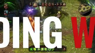 Divinity Original Sin Enhanced Edition