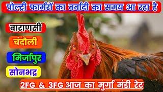 FFG और FFFG आज का मुर्गा मंडी रेट | Tody Poultry Rate | Poultry Farm Rate Today #poultryratetoday