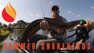 Kayak Fishing for Summer Snakeheads!