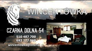 WINCENTÓWKA - bieszczadzka agroturystyka