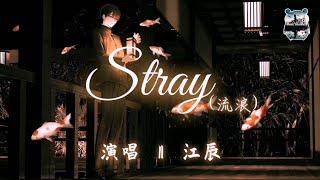 流浪(Stray) ‖ 江辰     『忘记所有 想你多久       冰冷的手 谁的脸孔』【动态歌词版Lyrics】