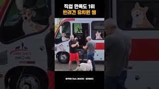 직업 만족도 1위 반려견 유치원 쌤